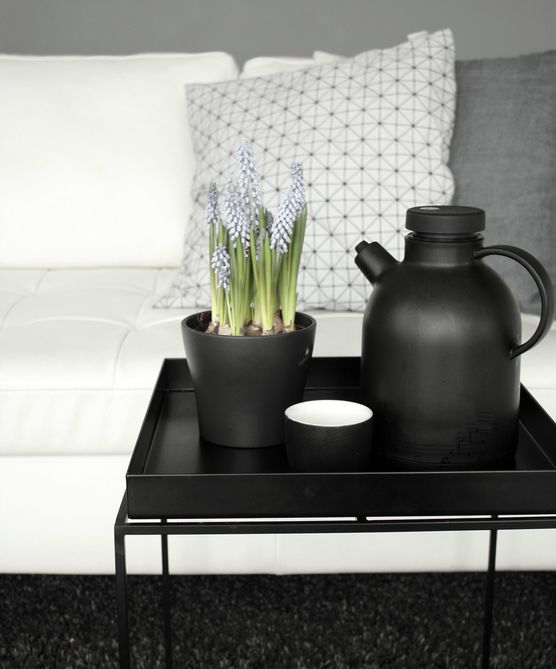 Kleine Muscari Pflanze als Dekostar bei mir Kleine Muscari Pflanze als Dekostar bei mir