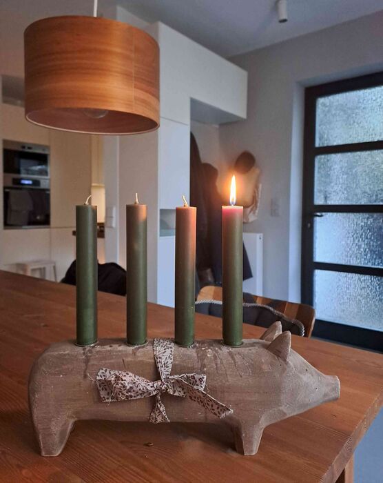 Bild von Herbstannemone Bild von Herbstannemone