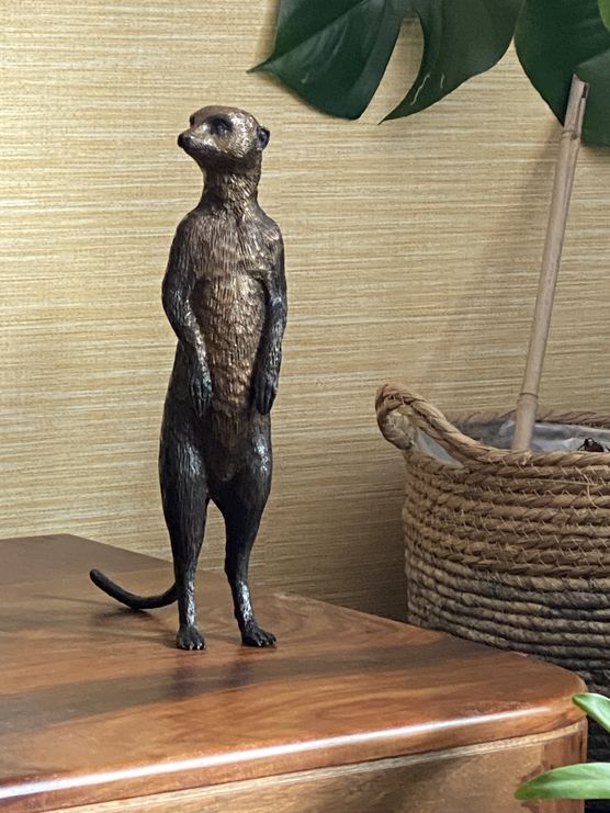 Ein neuer Mitbewohner ist Ein neuer Mitbewohner ist