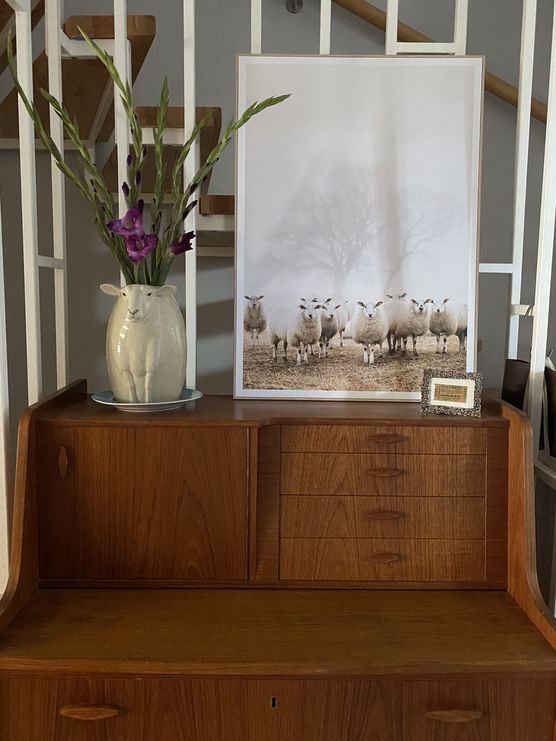 Unser Schaf Betty fühlte Unser Schaf Betty fühlte