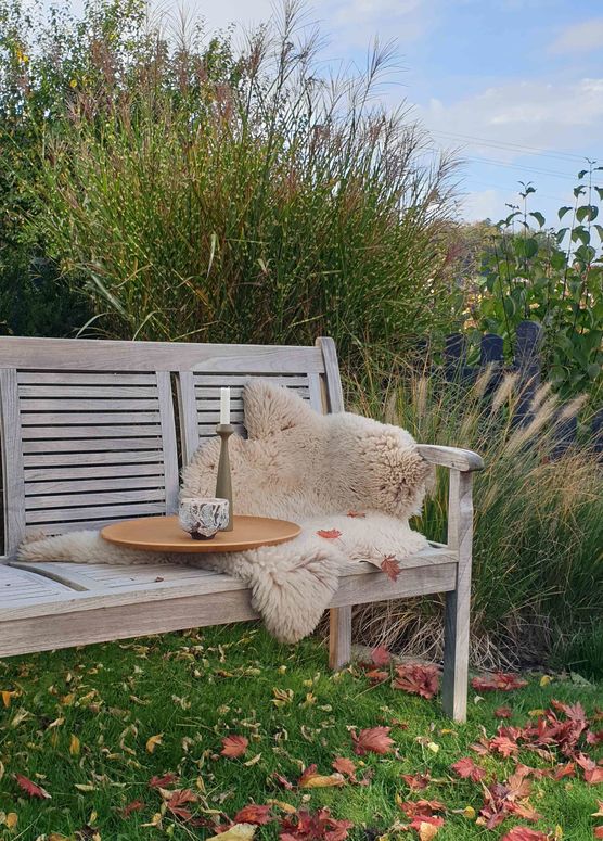 Bild von Christel B Bild von Christel B