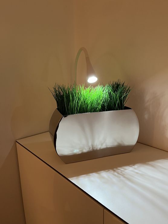 Da höre ich das Da höre ich das