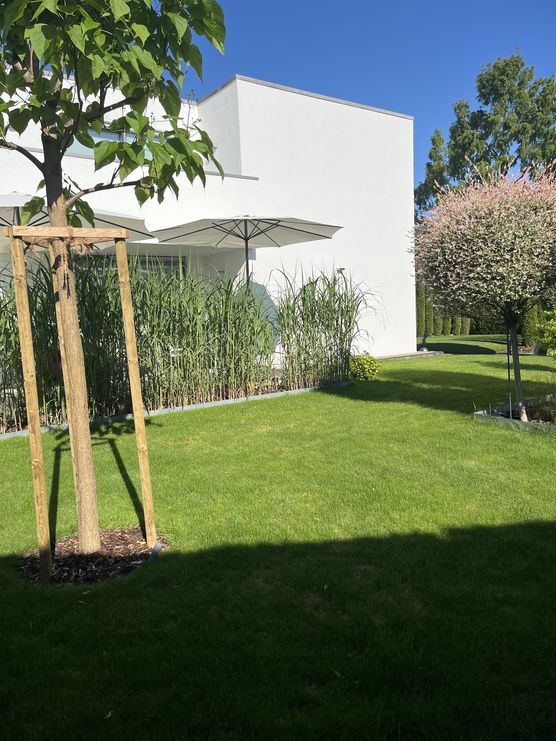 Endlich Sonne! Danke VERA Endlich Sonne! Danke VERA