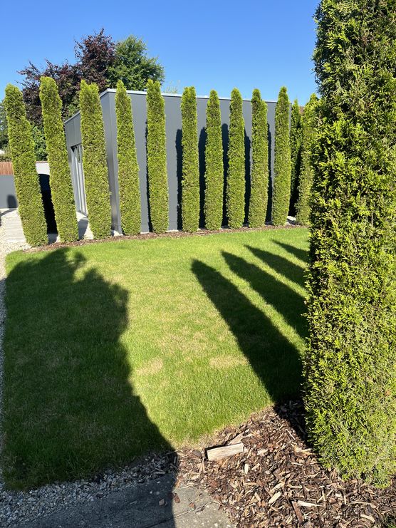 Hach, Licht und Schatten! Hach, Licht und Schatten!