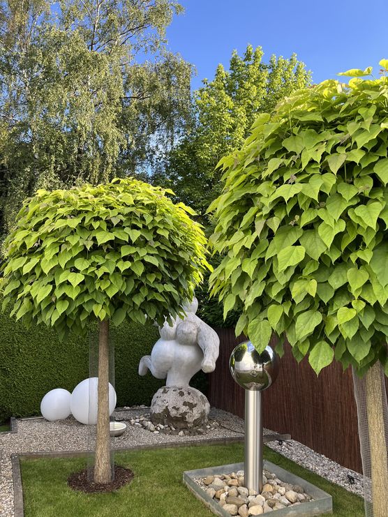 Gestern sengende Hitze und Gestern sengende Hitze und