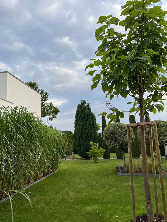 Ein Wetter nach meinem Ein Wetter nach meinem