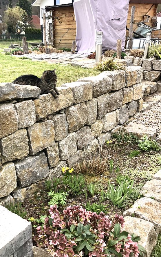 Warten auf den Osterhasen Warten auf den Osterhasen