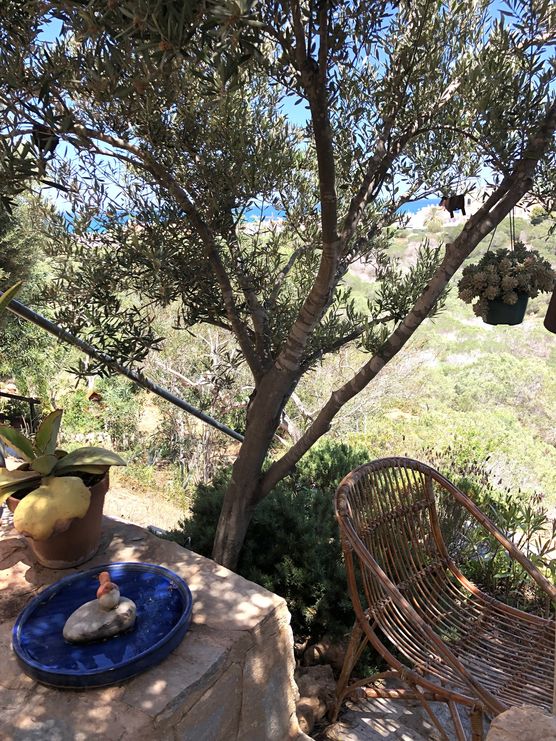 Schattenplatz …
Herzliche Grüße zum Schattenplatz …
Herzliche Grüße zum