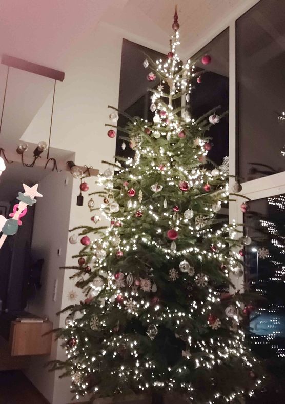 Bild von SandraWiesenblume Bild von SandraWiesenblume