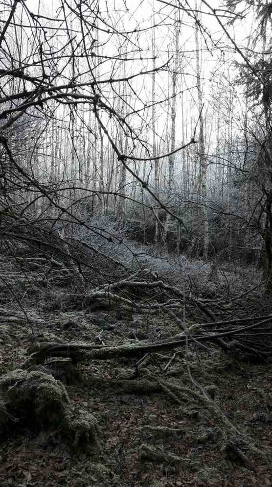 Bild von SandraWiesenblume Bild von SandraWiesenblume