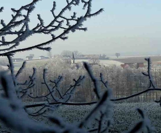 Bild von SandraWiesenblume Bild von SandraWiesenblume