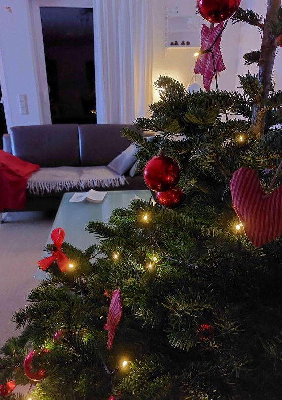 Bild von Stockröschen Bild von Stockröschen