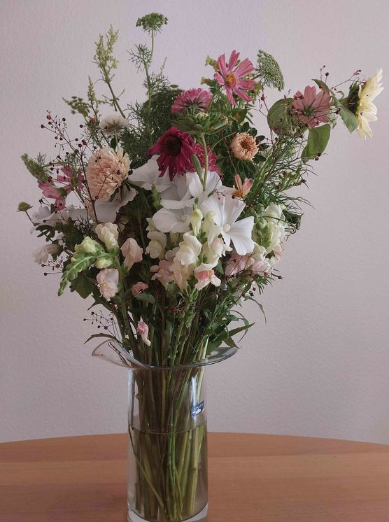 Bild von Stockröschen Bild von Stockröschen