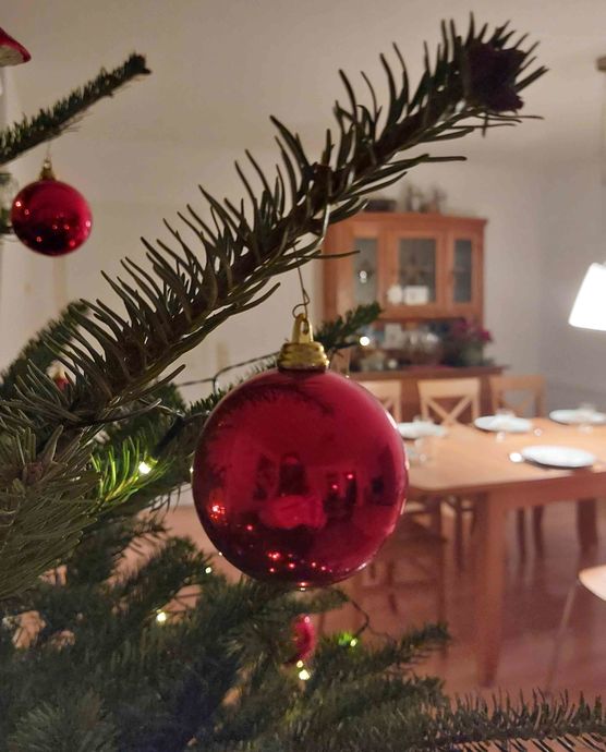 Bild von Stockröschen Bild von Stockröschen