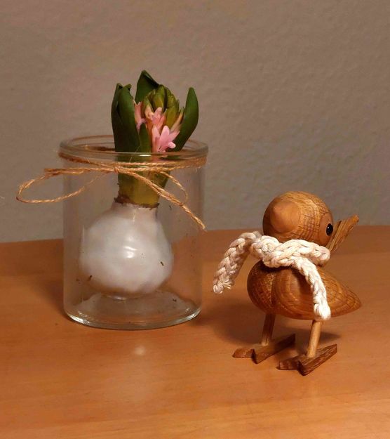 Bild von Stockröschen Bild von Stockröschen