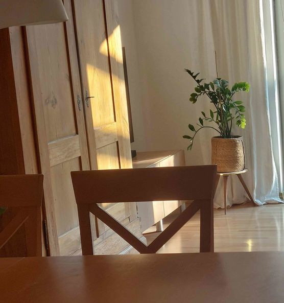 Bild von Stockröschen Bild von Stockröschen