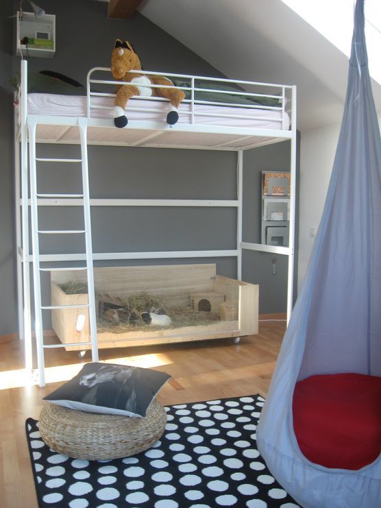 Laura und die Schweinebande Laura und die Schweinebande