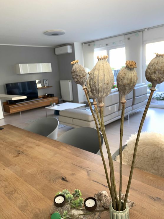 Bild von ellilovesgrey Bild von ellilovesgrey