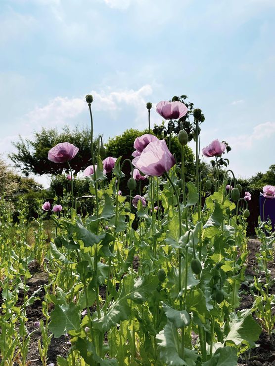 Bild von ellilovesgrey Bild von ellilovesgrey