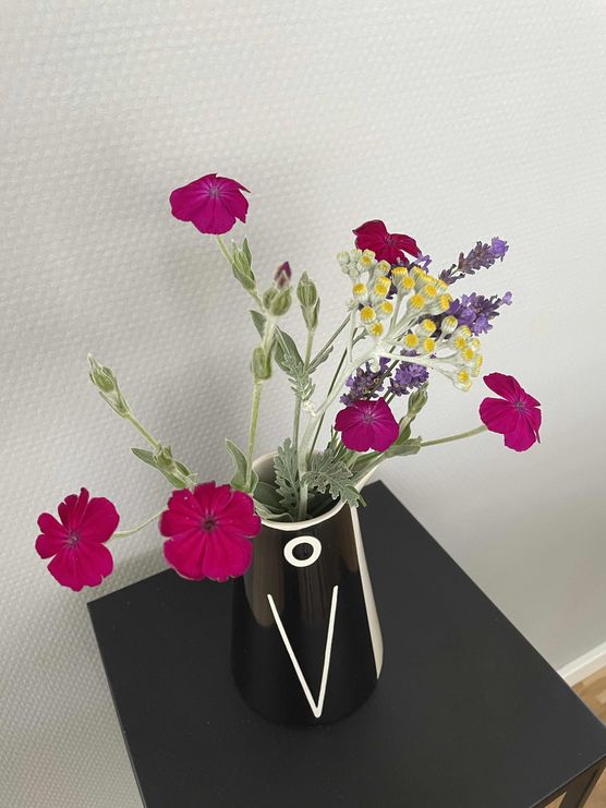 Bild von ellilovesgrey Bild von ellilovesgrey