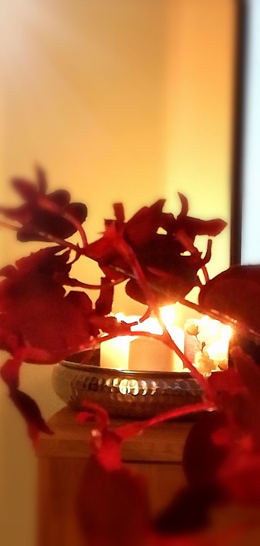 Bild von Ziegler Na Bild von Ziegler Na