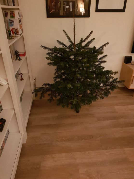 Der arme Baum, keiner Der arme Baum, keiner