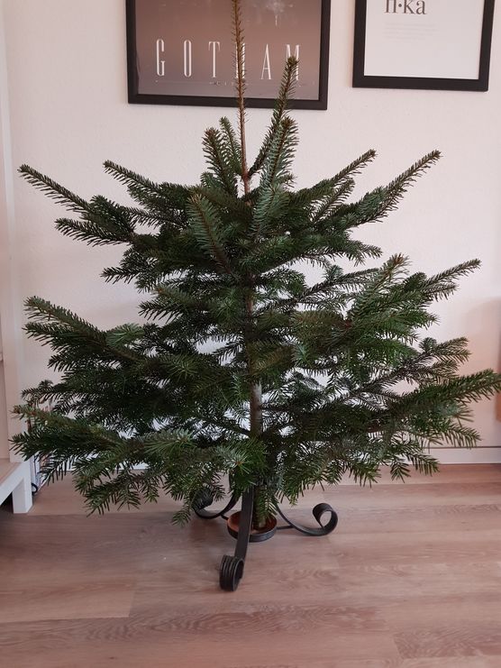 Gerade ist auch was Gerade ist auch was