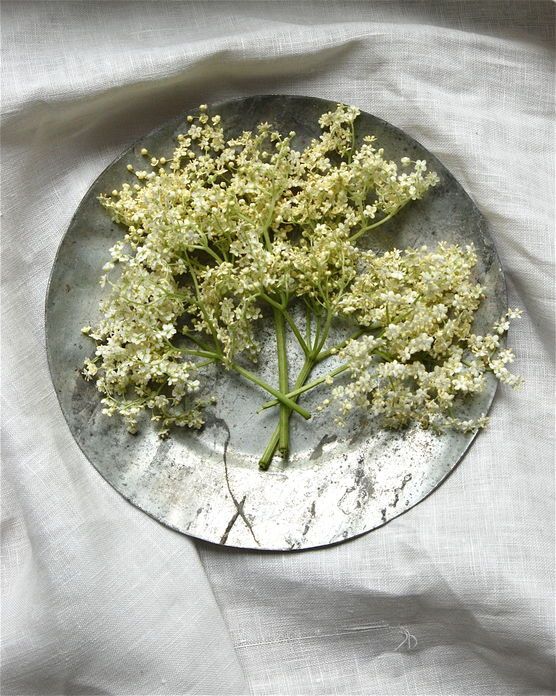 Ein Teller voller Sterne Ein Teller voller Sterne