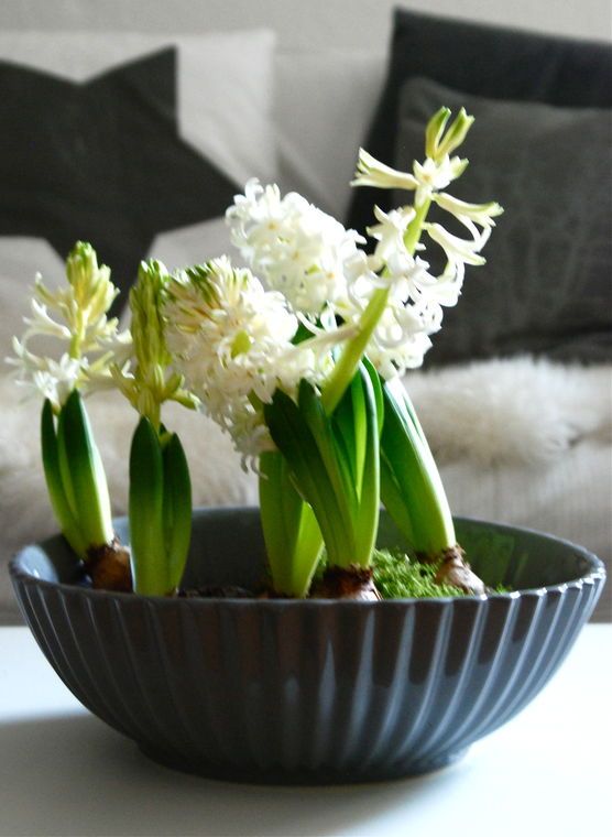 wie jedes Jahr wie jedes Jahr