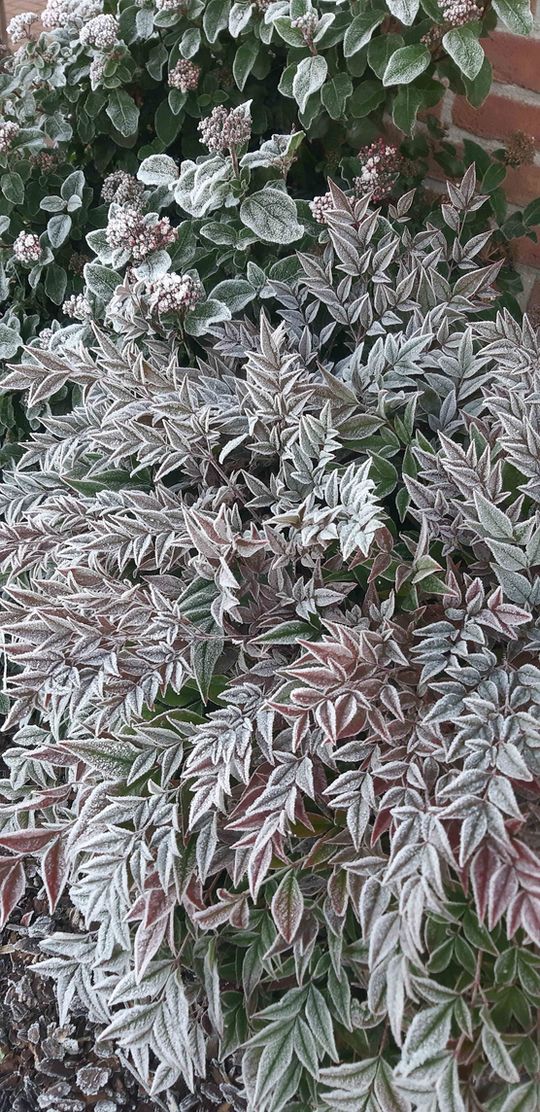 Bild von monalisa1952 Bild von monalisa1952