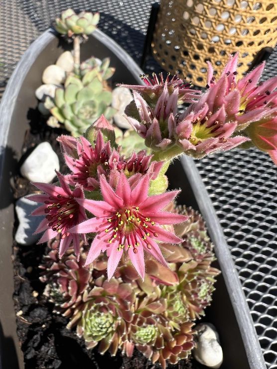 Bild von Rubbert Bild von Rubbert