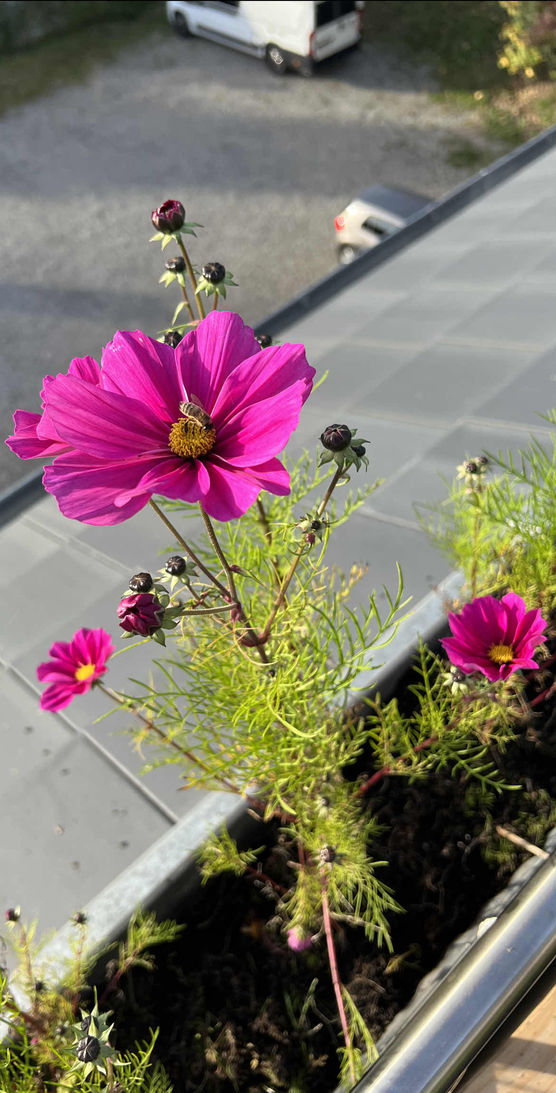 Bild von Rubbert Bild von Rubbert