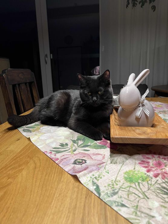 Bild von Rubbert Bild von Rubbert