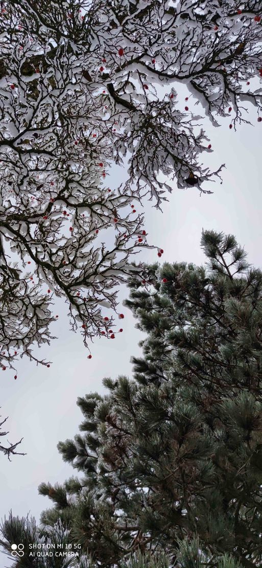 Bild von TaniiaMaBe Bild von TaniiaMaBe