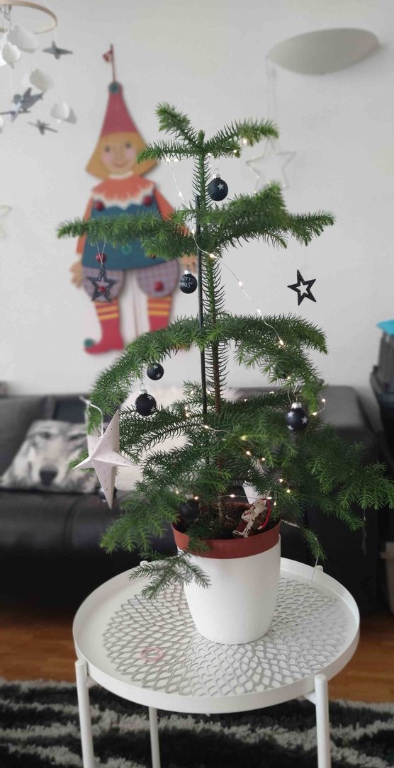 Bild von TaniiaMaBe Bild von TaniiaMaBe