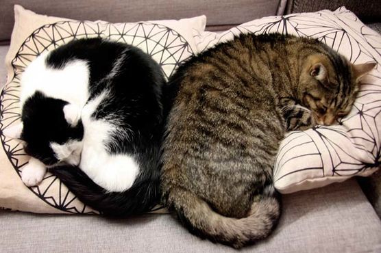 Herzige Weihnachten Herzige Weihnachten