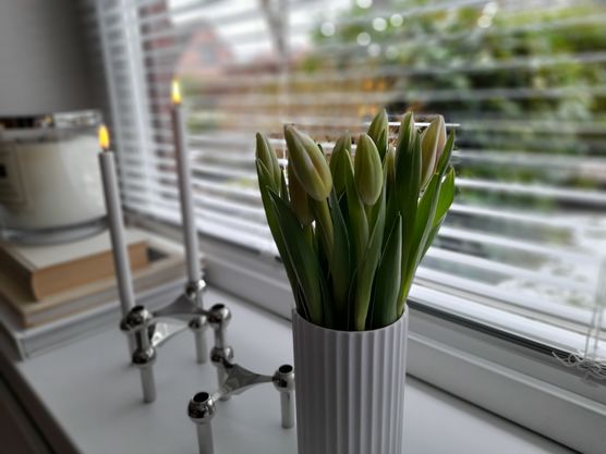 Die mussten auch noch Die mussten auch noch