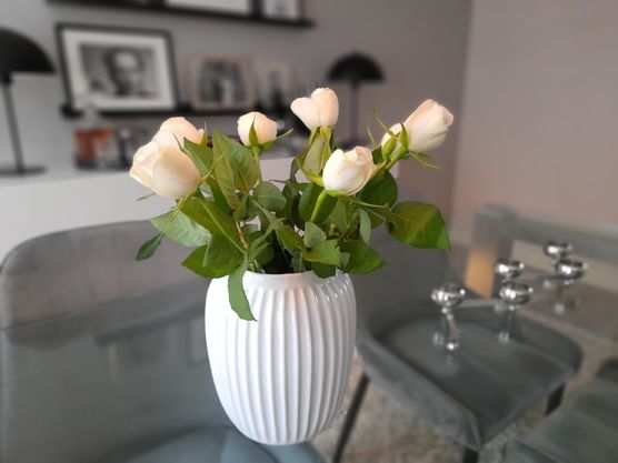 Ok. Die mussten auch Ok. Die mussten auch