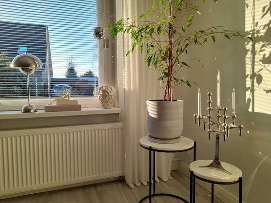 Ist das etwa Sonnenschein?☀️😎 Ist das etwa Sonnenschein?☀️😎