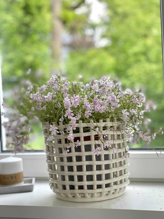 Bild von Julia Volkmer Bild von Julia Volkmer