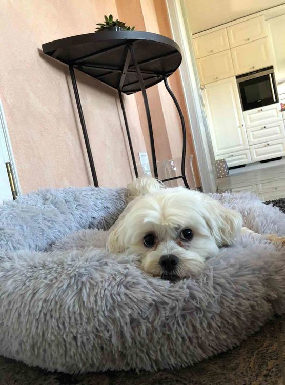 Bild von Lizzie160403 Bild von Lizzie160403