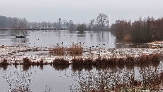 Bild von Lizzie160403 Bild von Lizzie160403