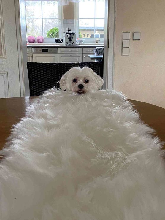 Bild von Lizzie160403 Bild von Lizzie160403