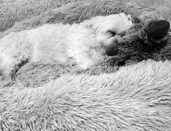 Bild von Lizzie160403 Bild von Lizzie160403