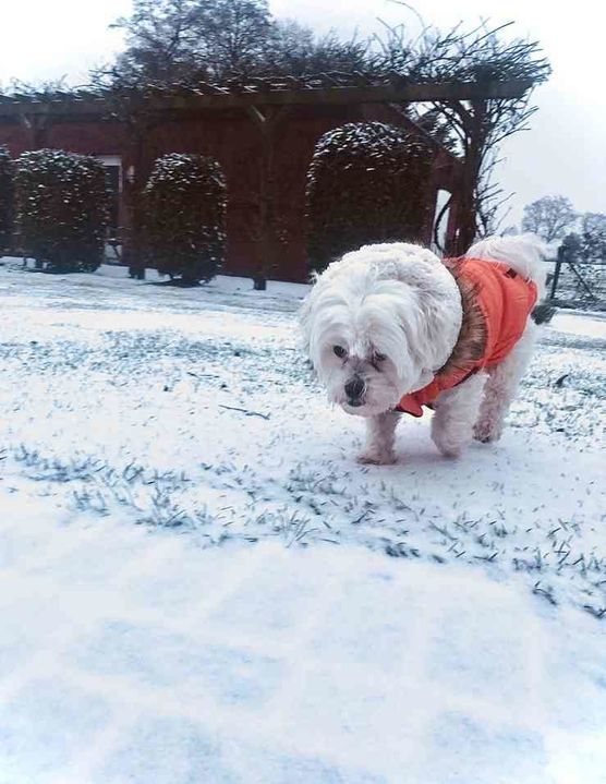 Bild von Lizzie160403 Bild von Lizzie160403