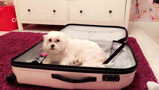 Bild von Lizzie160403 Bild von Lizzie160403