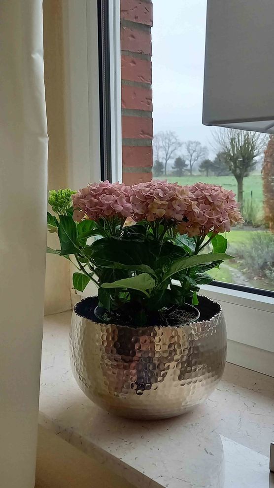 Bild von Lizzie160403 Bild von Lizzie160403