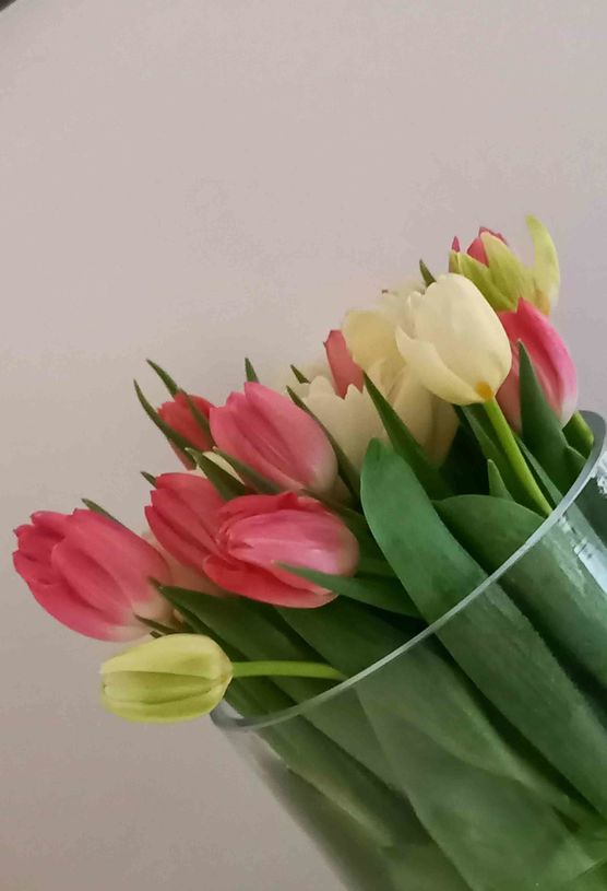 Bild von Lizzie160403 Bild von Lizzie160403