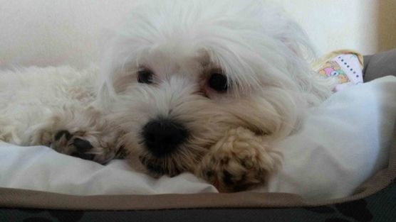 Bild von Lizzie160403 Bild von Lizzie160403