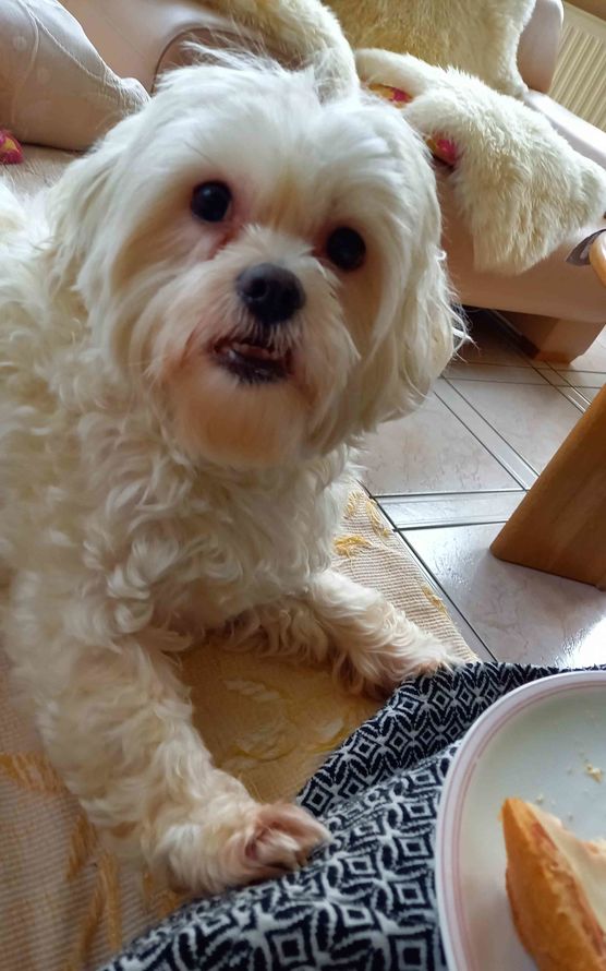 Bild von Lizzie160403 Bild von Lizzie160403